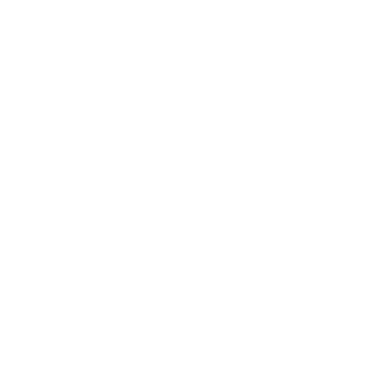 The Compassion Experience
